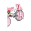 ⭐限時優惠⭐ Kids Star 1st Move 推控前圍三輪車- 甜美粉 | 台灣製造 | 可摺合, 易於收藏【代理配送#B】⭐RB會員低至$623⭐