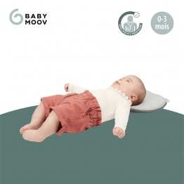 Babymoov 法國 Lovenest 心心護頭枕 - 銀河灰【代理配送#B】